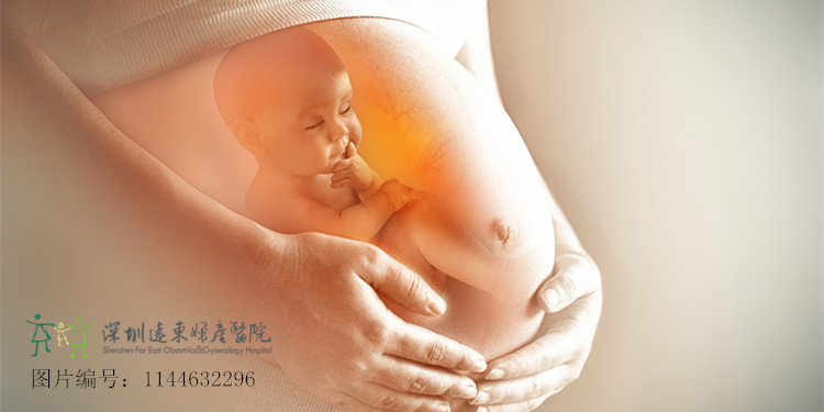 胎宝发育