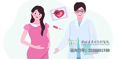 胎儿发育